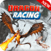 Flying Dragon Race 3d