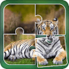 Tiger Jigsaw Puzzle