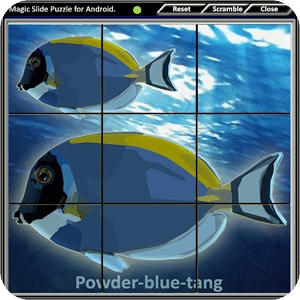 Magic Slide Puzzle A Fishes 2