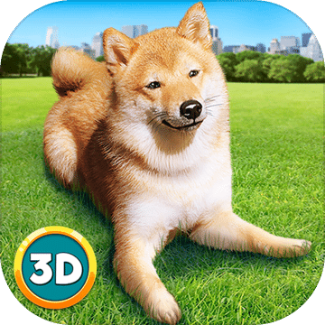 Play With Your Dog: Shiba Inu