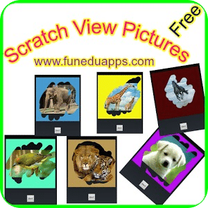Scratch View Pictures