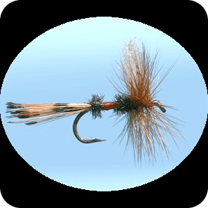 Fly Fishing Simulator