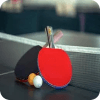 Ping Pong Free | Table Tennis