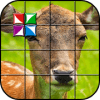 Tile Puzzle Wild Animals