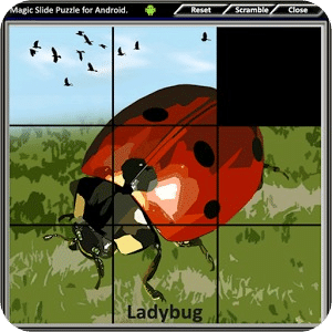 Magic Slide Puzzle Insects 1