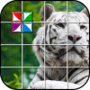 Tile Puzzle White Tiger
