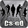 Guide for CS GO