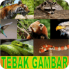 Tebak Gambar Fauna