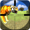 Safari Animals Hunting Sniper Shooter Lion Hunting