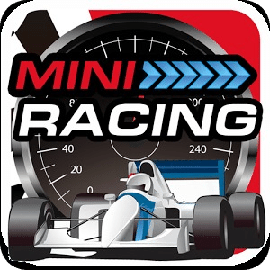 Minicar Speed racing