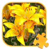 Jigsaw Puzzles Flowers Games