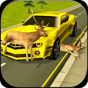 Road Kill 3D Racing