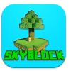 Skyblock Survival