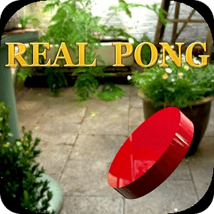 Real Pong Free