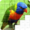 Guess the Bird. Tile Puzzle.