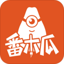 番木瓜