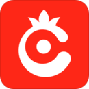 石榴视频logo图标