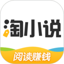淘小說