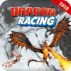 Flying Dragon Race 2019