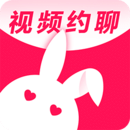 陌兔交友