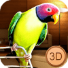 Birdy Pet - Parrot Life Simulator