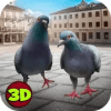 城市之鸟:鸽子模拟器