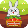 German Verbs Conjugations Rabbit Game