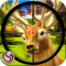 狙擊手獵鹿  Sniper Deer Hunting 2014
