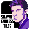 Shawn Endless Tiles