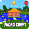 Micro Craft: Building and Crafting