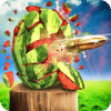 Watermelon Shooter 3D