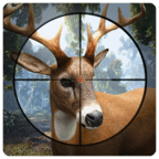 Deer Hunting 2017