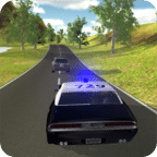 Police Pursuit Online