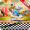 Dog Crazy Race Simulator 2019