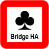 Bridge Hand Analyzer