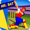 Mr. Bat: The Cricket Game