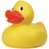 Duck Duck Car