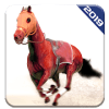 Angry Horse Racing 3D Simulator