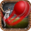 Onegame Cricket 2019