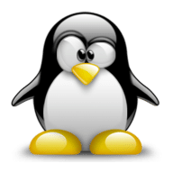 Linux部署 Linux Deploy