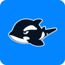 網(wǎng)魚