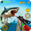 鲨鱼狩猎动物射击