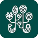 野獸派