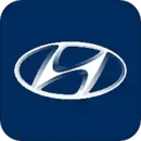 北京現(xiàn)代bluemembers
