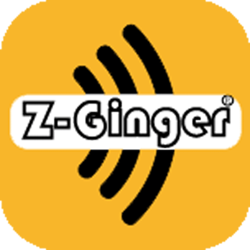 ZGinger Mini乐得威智能