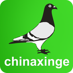 中国信鸽信息网v20210208