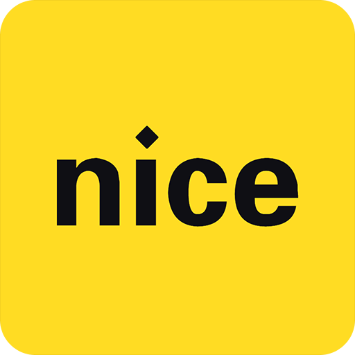 nice货源