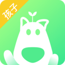 格雷盒子孩子