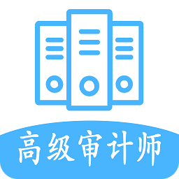 高級審計(jì)師豐題庫
