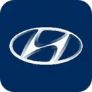 北京現(xiàn)代bluemembers